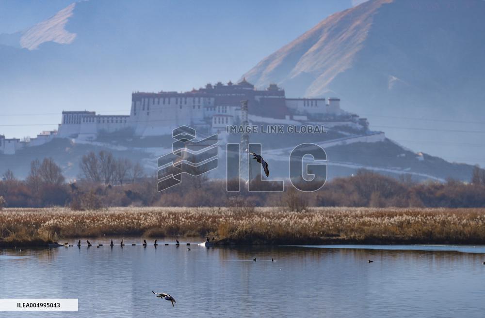 Lhalu Wetland Receives WRCA Certification - China
