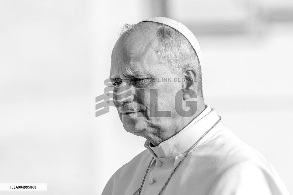 Pope Leo XIV during the last Jubilee audience in St. Peter's Square - Vatican