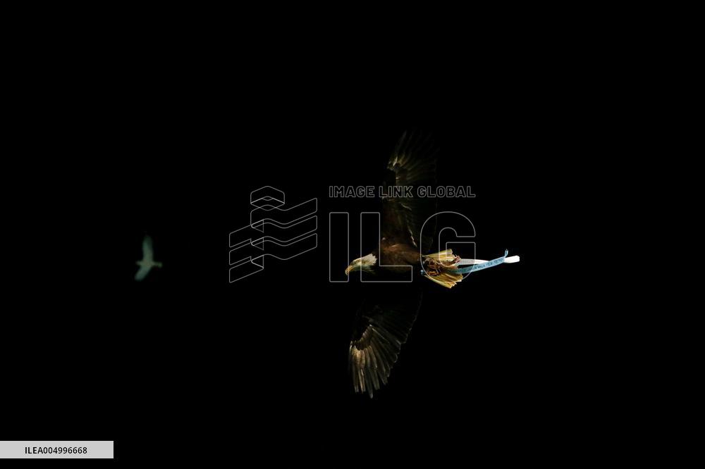 CALCIO - Serie A - SS Lazio vs US Cremonese