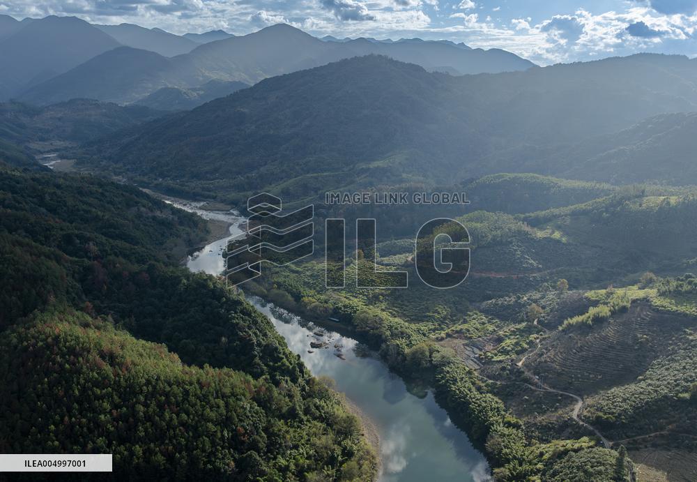 Chinese Mergansers Spotted In Yongtai - China