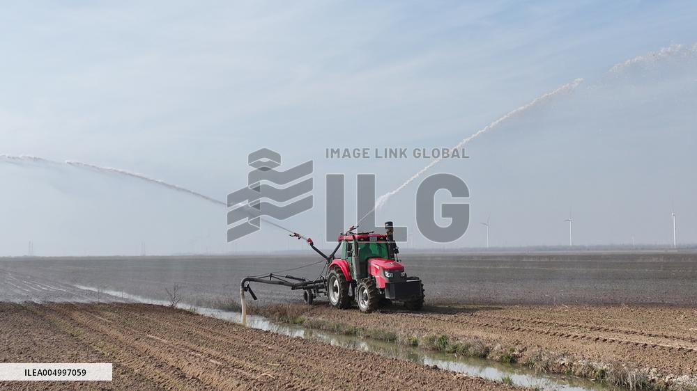 Farmers Irrigating Wheat in Fields