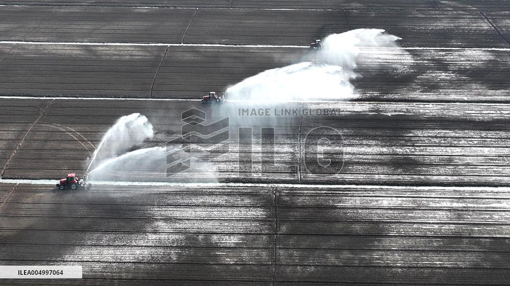 Farmers Irrigating Wheat in Fields