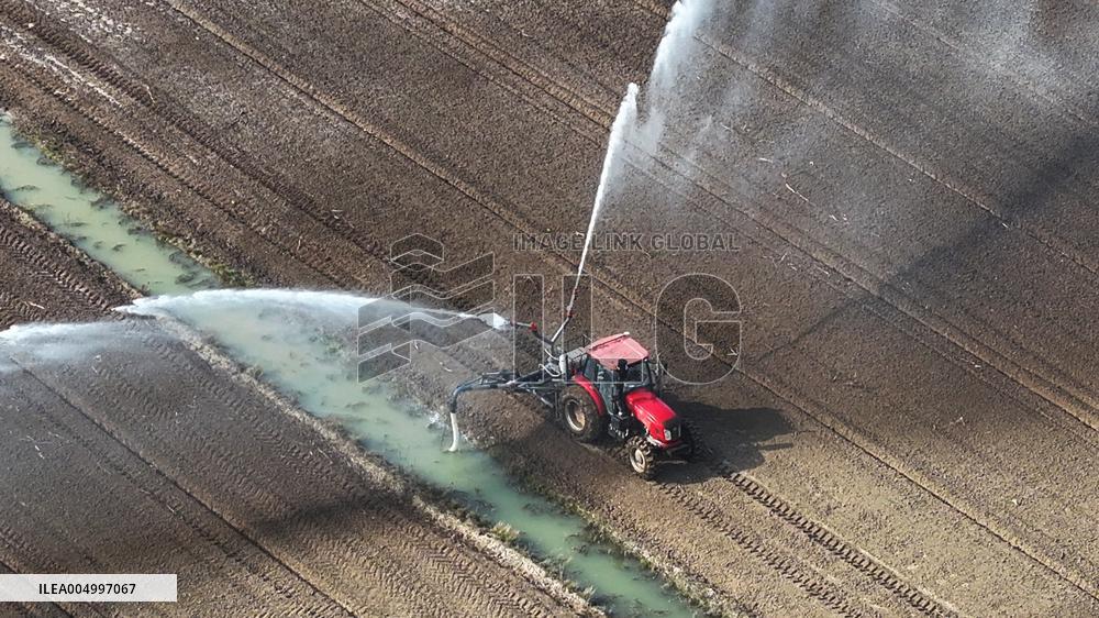 Farmers Irrigating Wheat in Fields