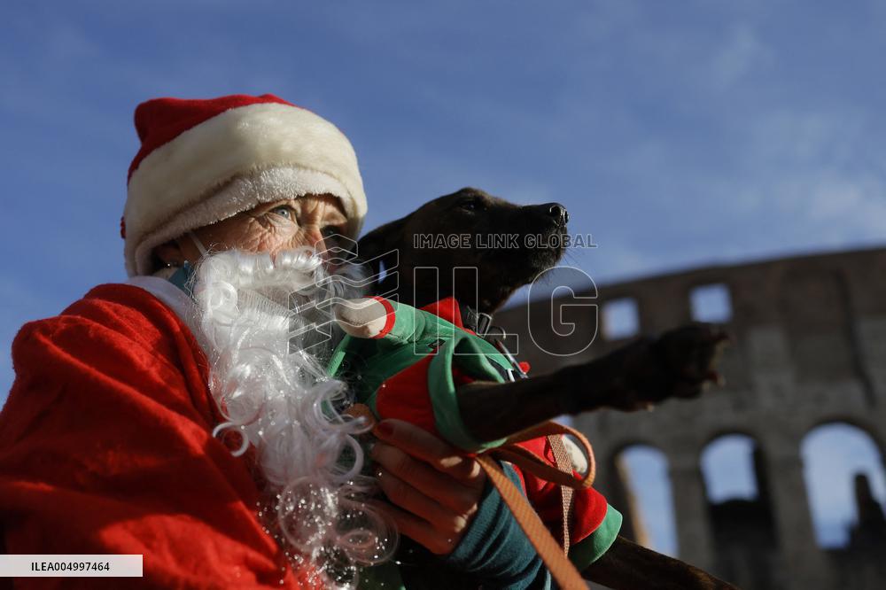 Christmas Race Held For Children's Oncology - Rom