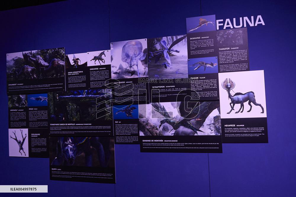 Avatar The Experience - Madrid