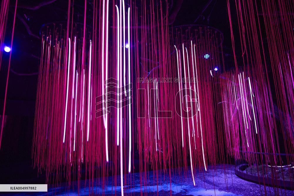 Avatar The Experience - Madrid