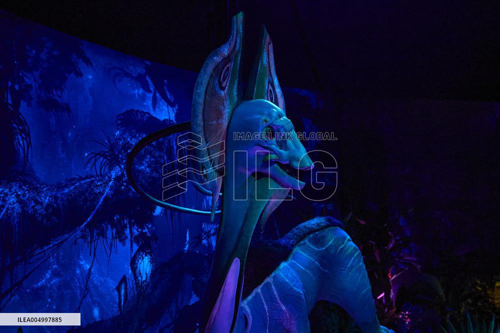 Avatar The Experience - Madrid