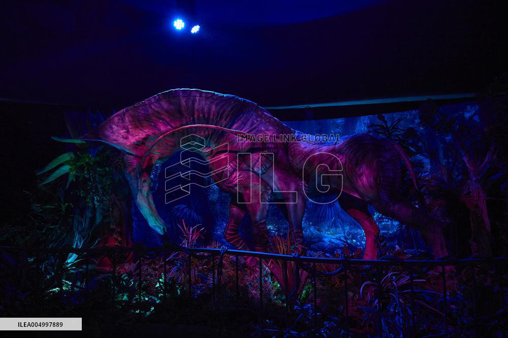 Avatar The Experience - Madrid