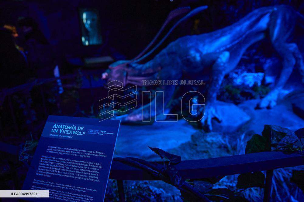 Avatar The Experience - Madrid