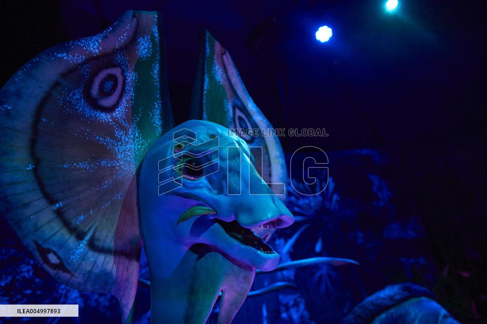 Avatar The Experience - Madrid