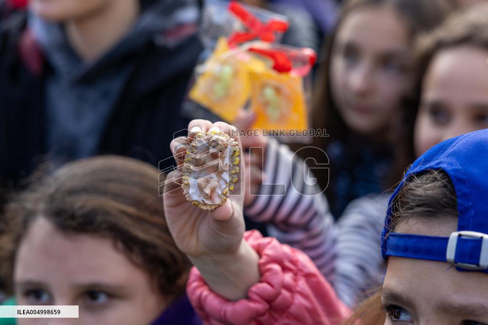 Baby Jesus Figurines During The Angelus Prayer - Vatican