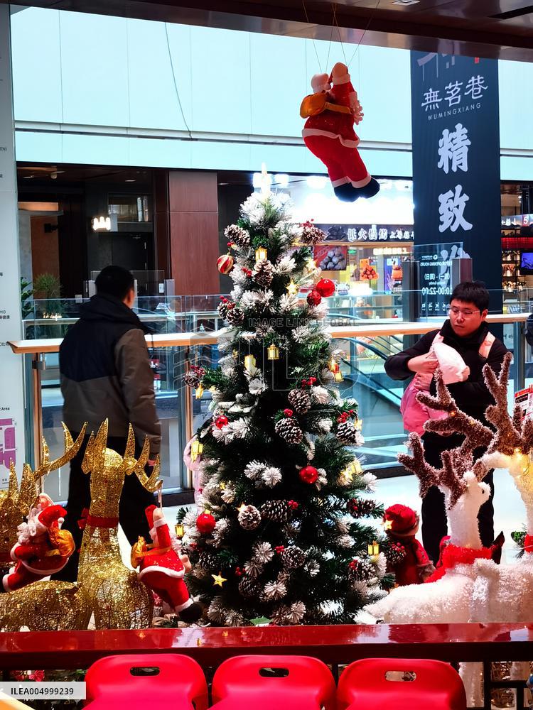 Christmas Decorations