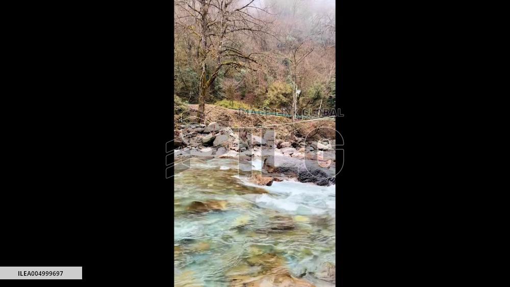 China: Monkey Rushes Across River to Grab Tourist’s Handbag