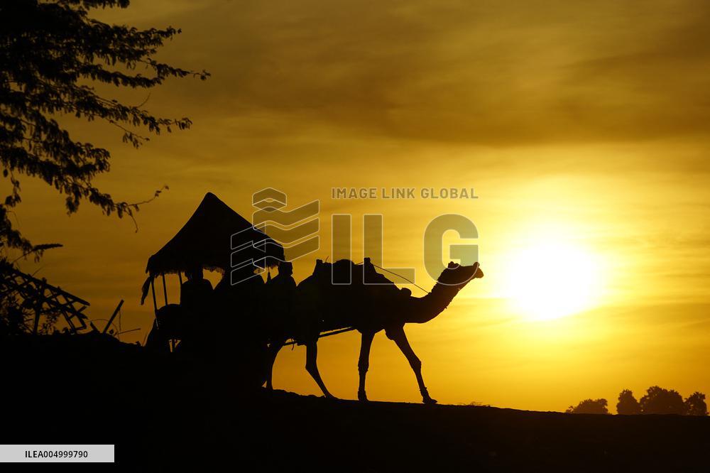 Tourists Enjoy a Camel Safari - India
