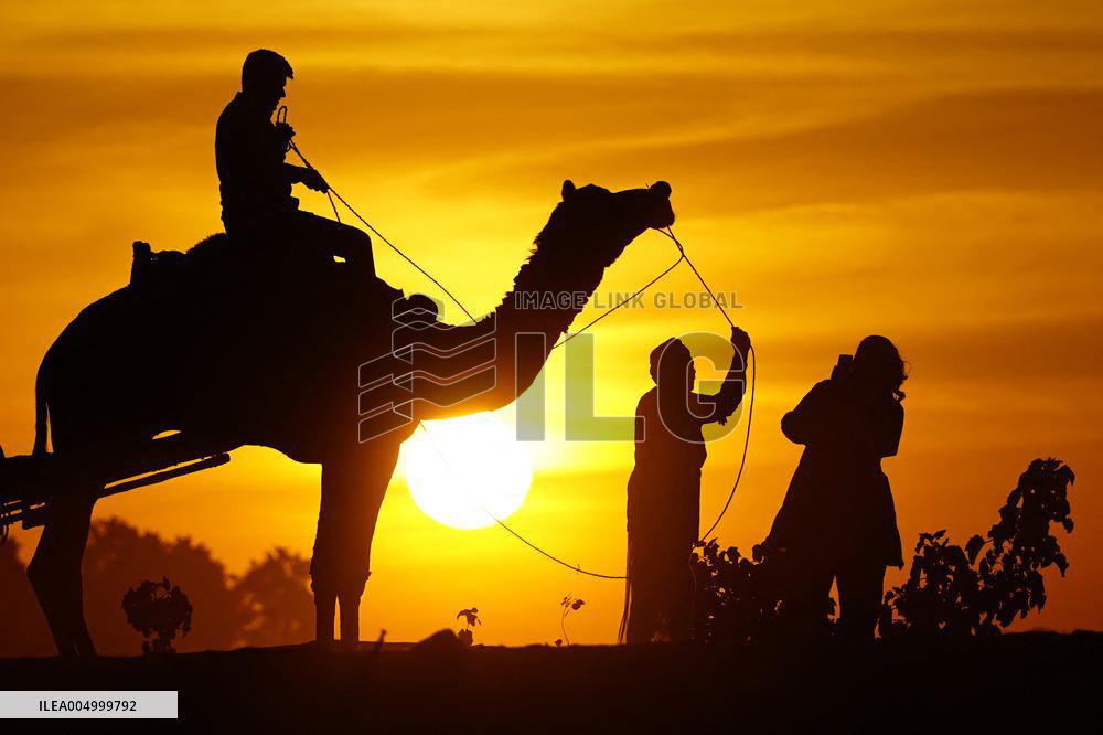 Tourists Enjoy a Camel Safari - India