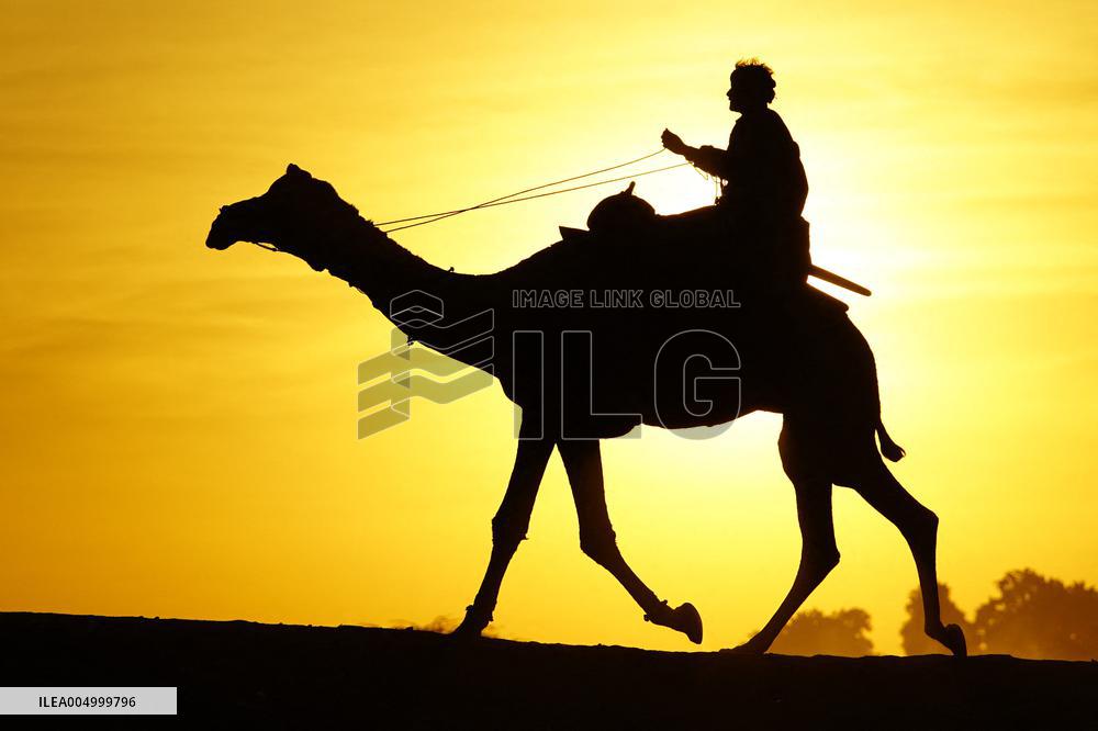Tourists Enjoy a Camel Safari - India