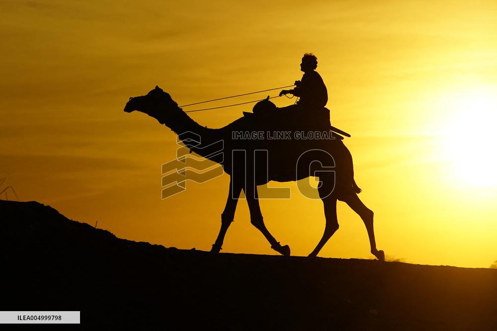 Tourists Enjoy a Camel Safari - India