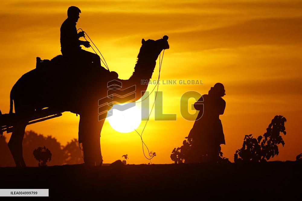 Tourists Enjoy a Camel Safari - India