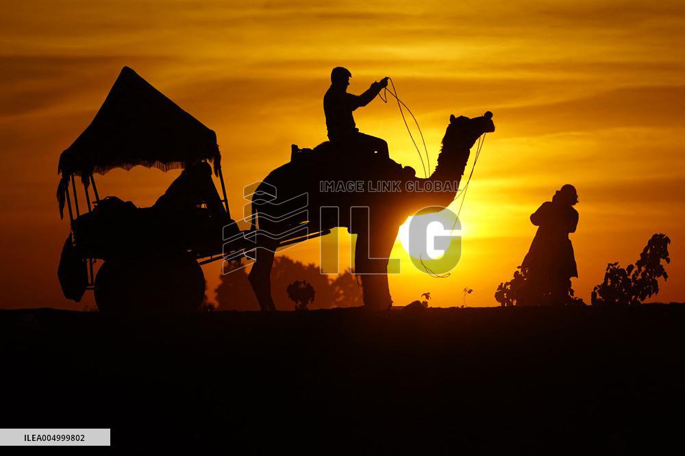 Tourists Enjoy a Camel Safari - India