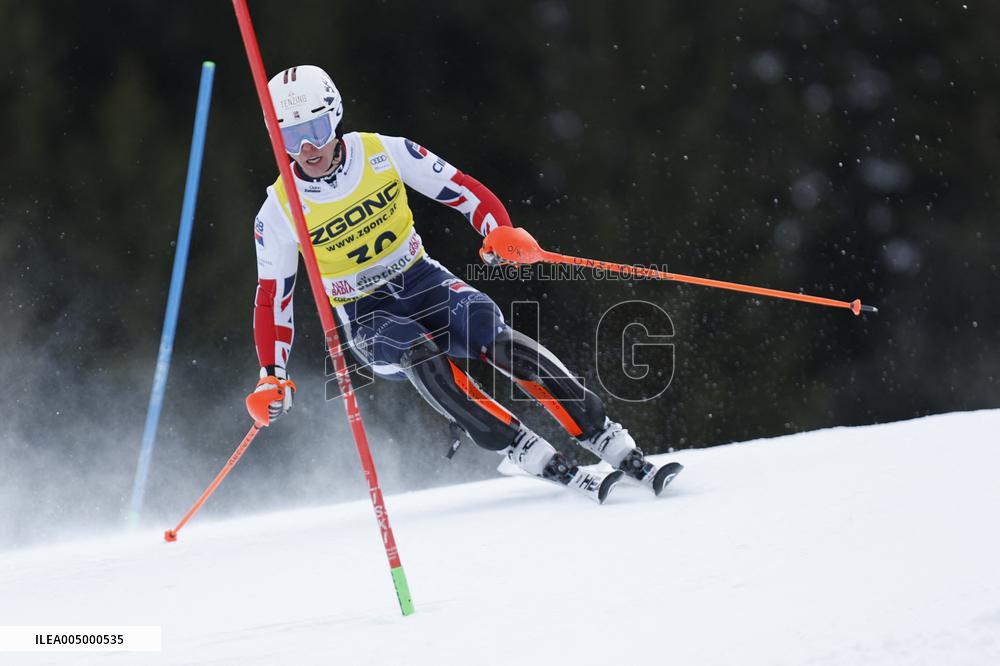 SPORT INVERNALI - Sci Alpino - 2026 Audi FIS Ski World Cup - Men's Slalom