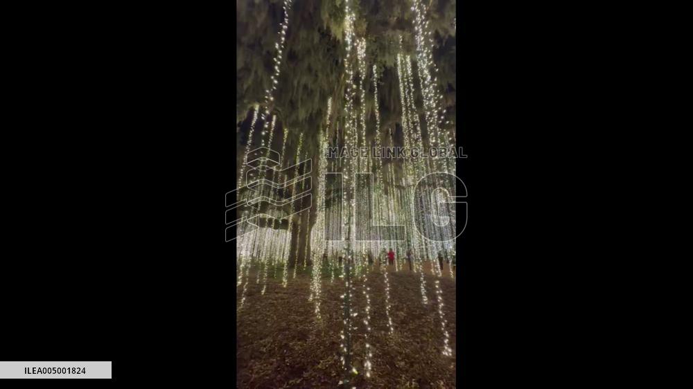 US: Nights of Thousand Candles Lights Up Brookgreen Gardens in South Carolina