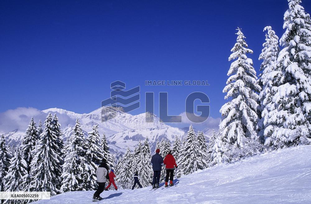 Illustration - Beaufortain - Beaufort Region - France