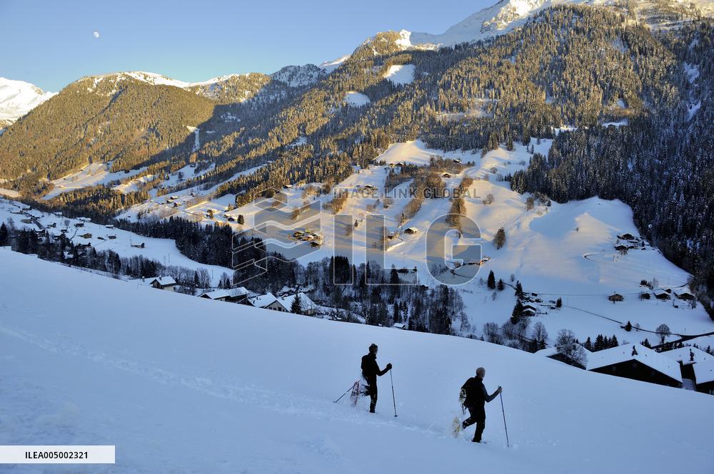Illustration - Beaufortain - Beaufort Region - France