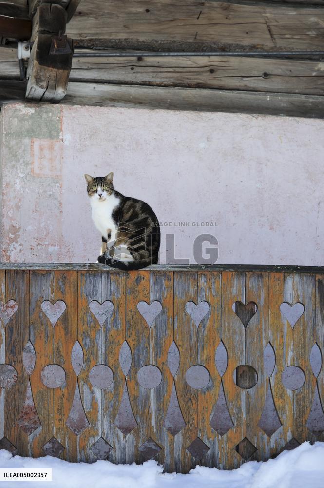 Illustration - Beaufortain - Beaufort Region - France