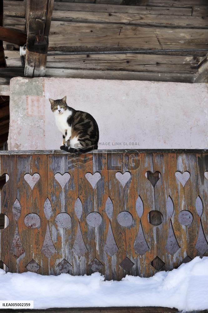 Illustration - Beaufortain - Beaufort Region - France