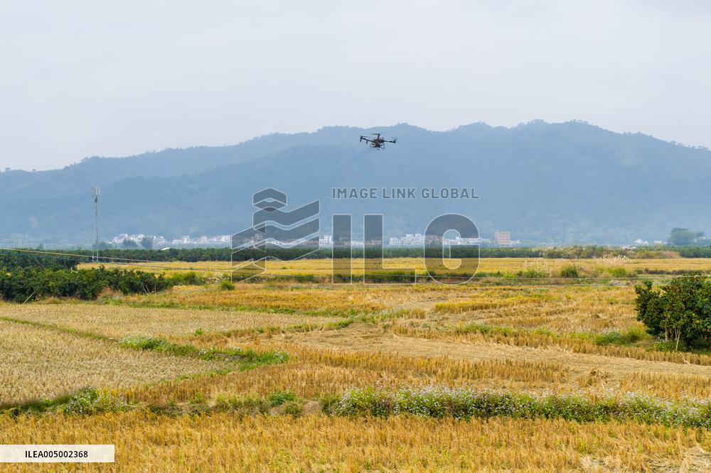 Intelligent Agriculture