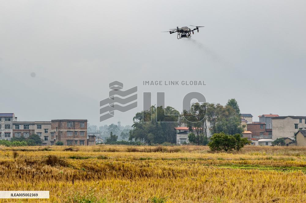 Intelligent Agriculture