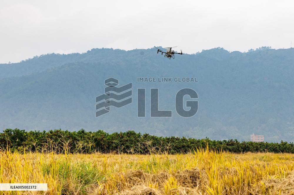 Intelligent Agriculture