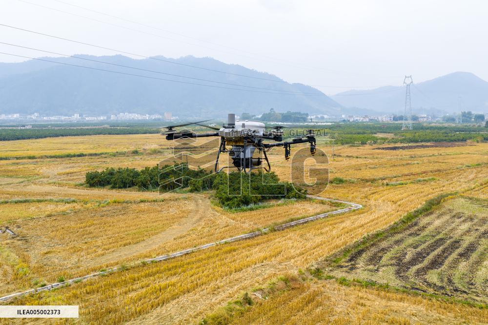 Intelligent Agriculture