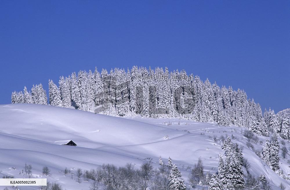 Illustration - Beaufortain - Beaufort Region - France