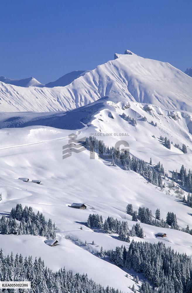 Illustration - Beaufortain - Beaufort Region - France