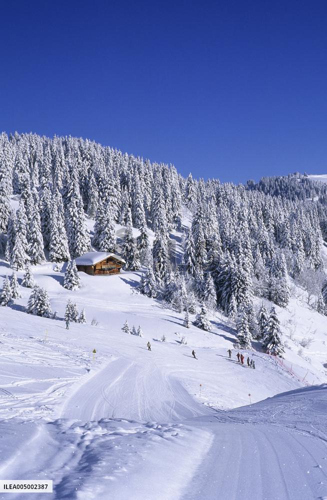 Illustration - Beaufortain - Beaufort Region - France