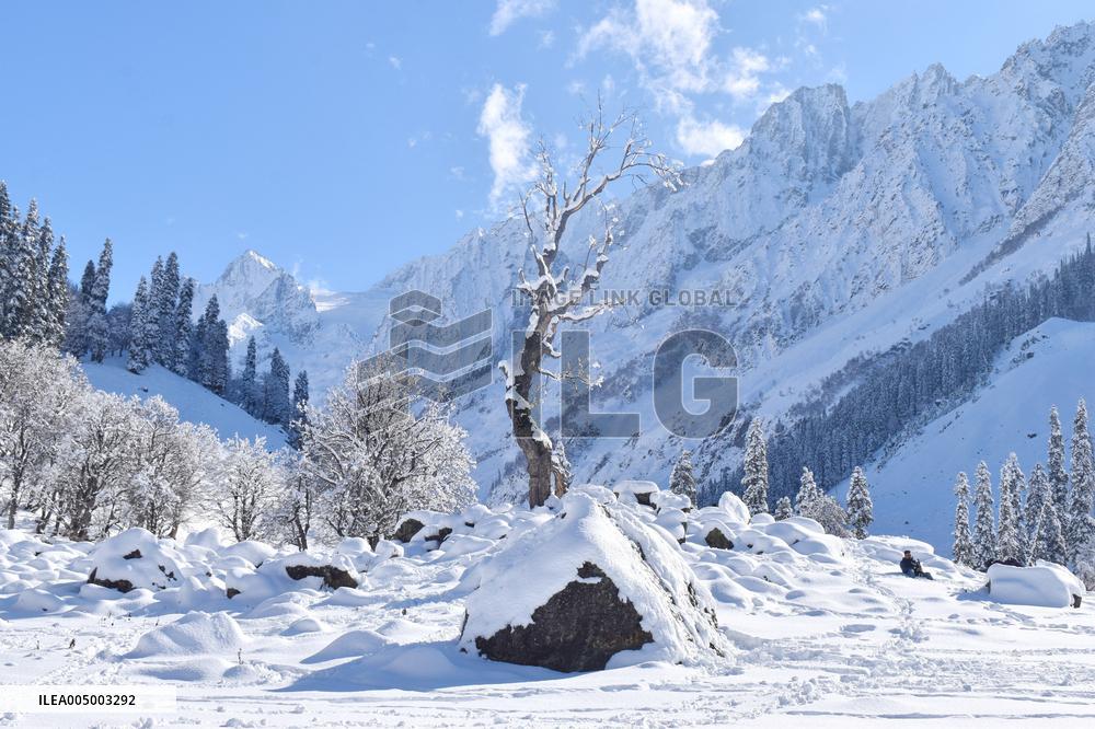 People Enjoy The Season's First Snowfall In Kashmir