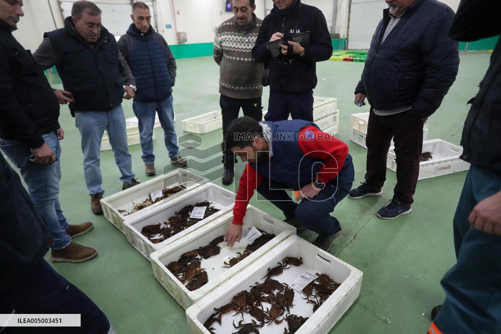 Last Seafood Auction Before Christmas Eve In Burela - Spain