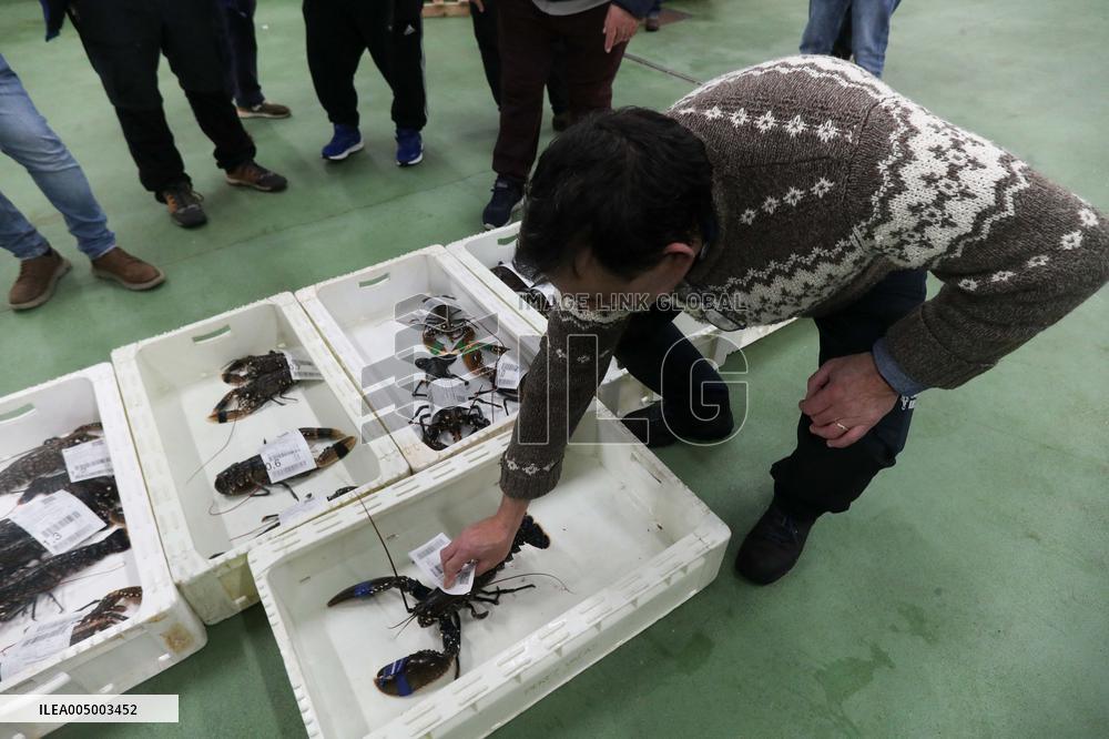 Last Seafood Auction Before Christmas Eve In Burela - Spain