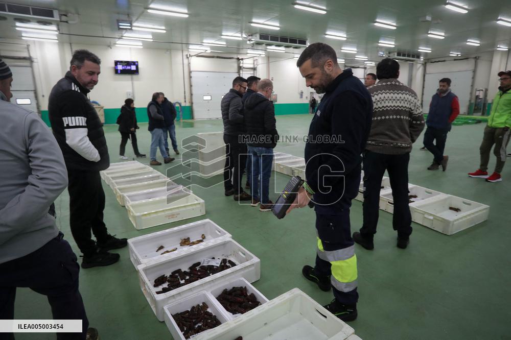 Last Seafood Auction Before Christmas Eve In Burela - Spain