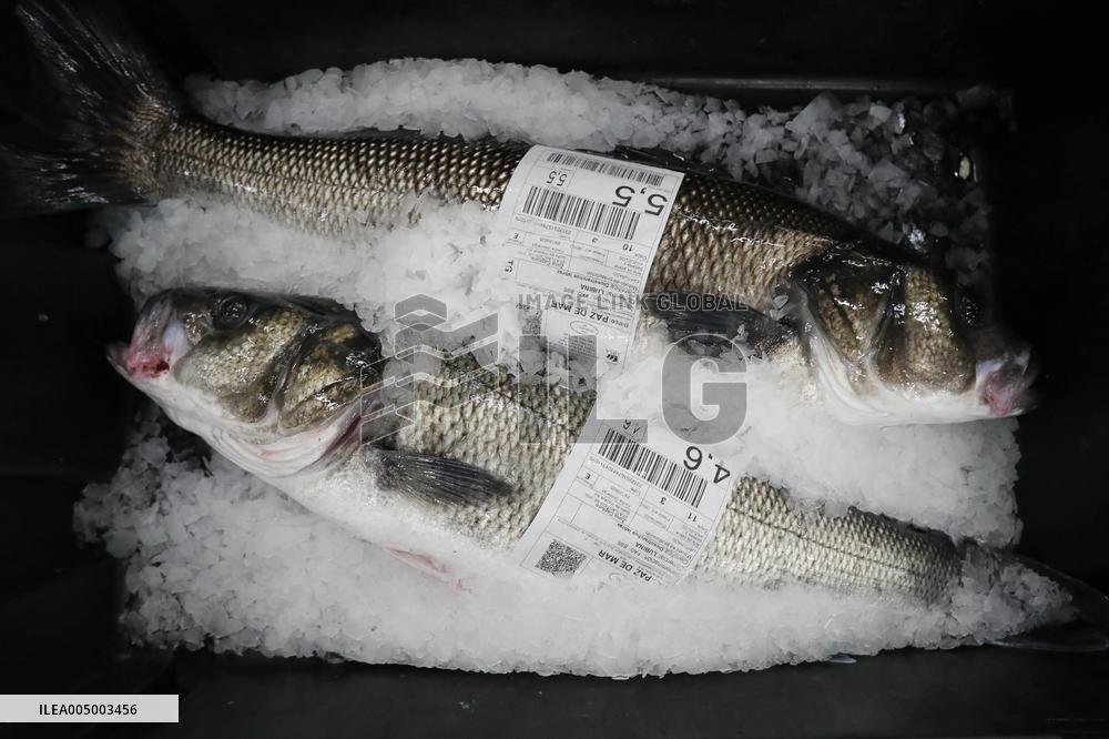 Last Seafood Auction Before Christmas Eve In Burela - Spain