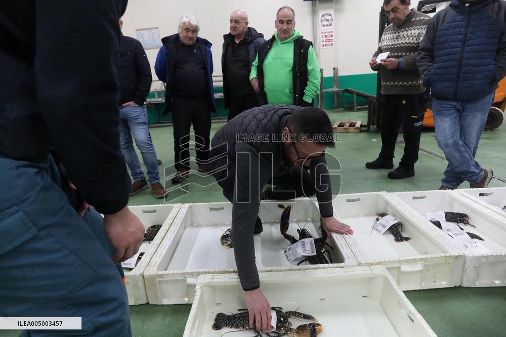 Last Seafood Auction Before Christmas Eve In Burela - Spain