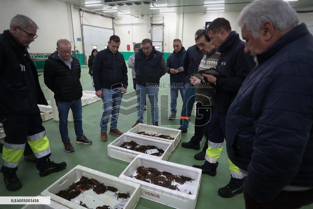 Last Seafood Auction Before Christmas Eve In Burela - Spain