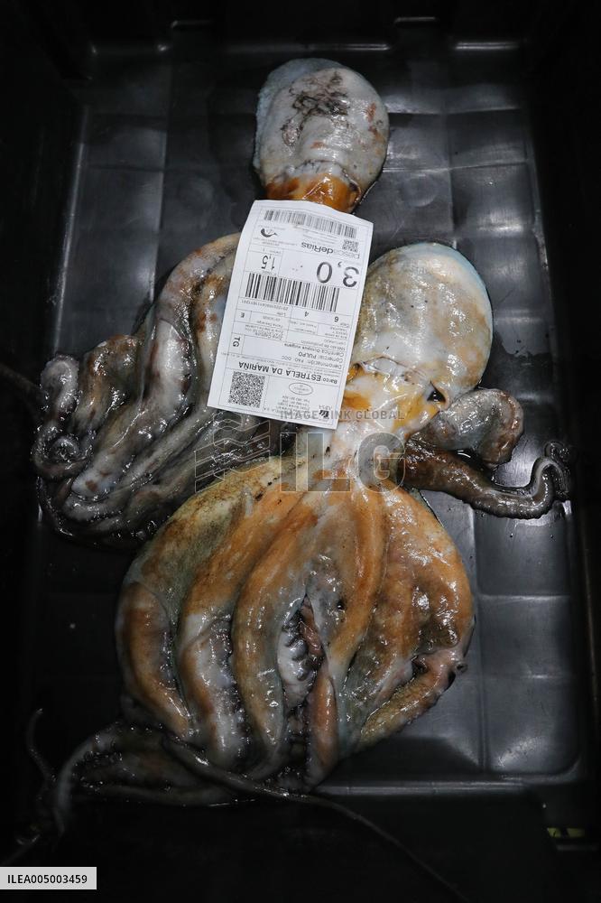 Last Seafood Auction Before Christmas Eve In Burela - Spain