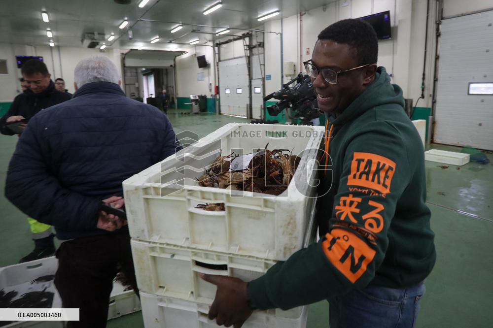 Last Seafood Auction Before Christmas Eve In Burela - Spain