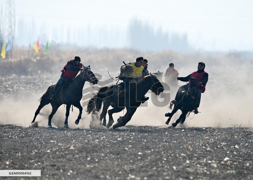 Sheep Snatching Competition
