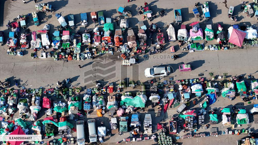 Wanbang International Agricultural Products Wholesale Market