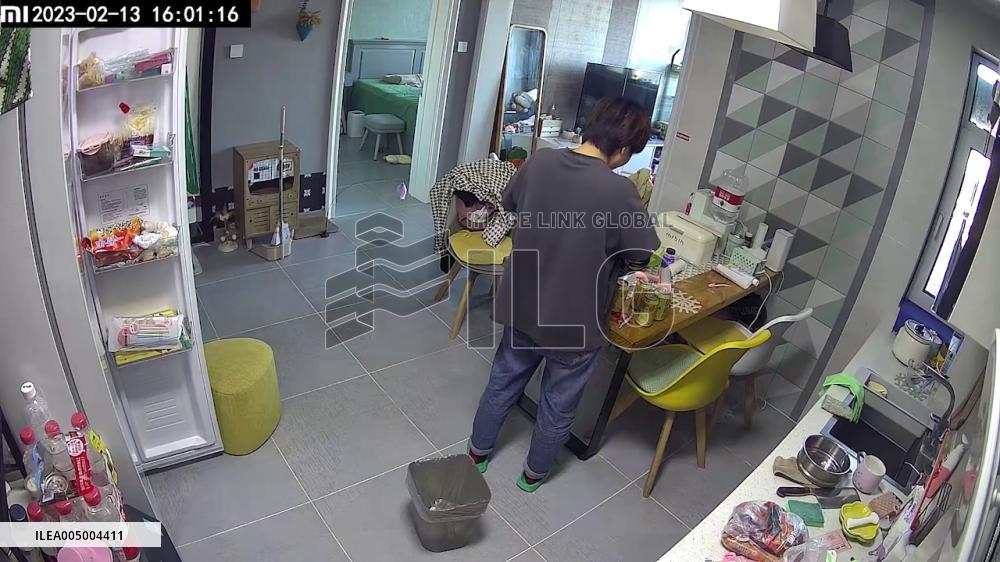China: Cat Accidentally Locked Inside Freezer Caught on Camera