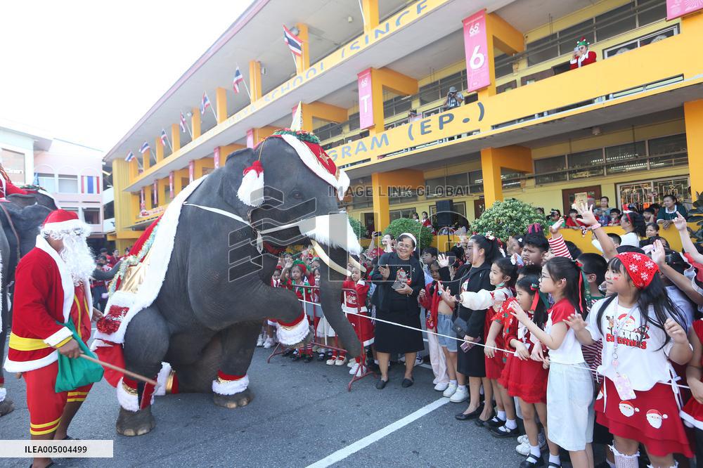 Elephants in Christmas-Themed Costumes - Thailand