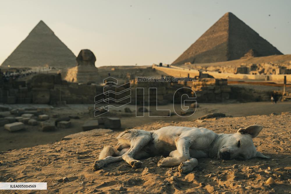 Illustration - Egypt